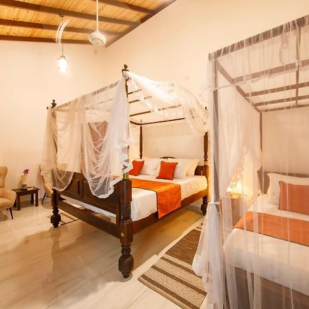 Mimoza Mirissa Bed & Breakfast Dış mekan fotoğraf