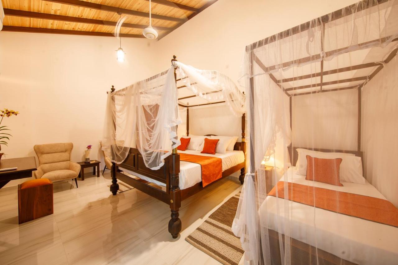 Mimoza Mirissa Bed & Breakfast Dış mekan fotoğraf