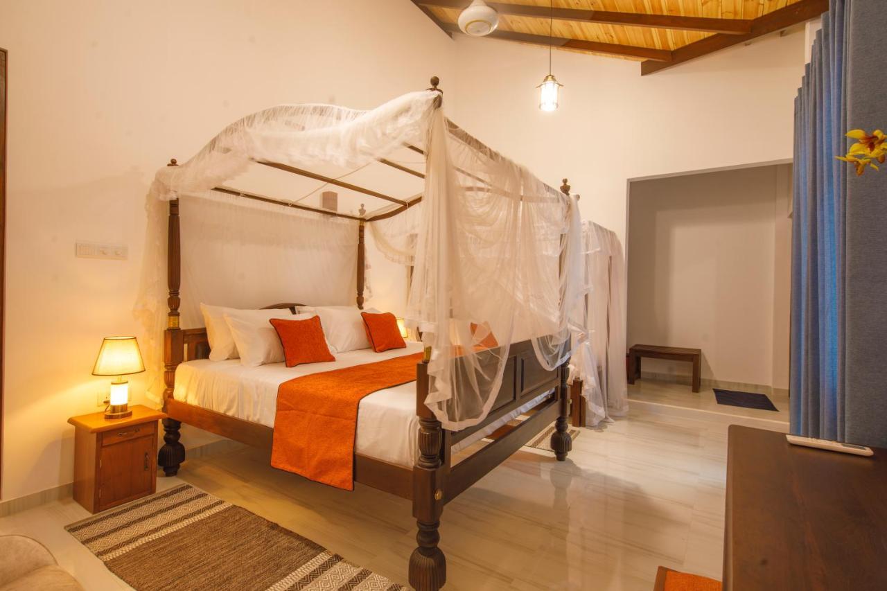 Mimoza Mirissa Bed & Breakfast Dış mekan fotoğraf