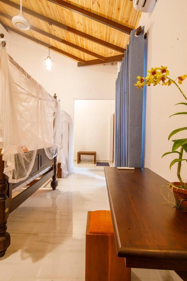 Mimoza Mirissa Bed & Breakfast Dış mekan fotoğraf